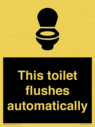 this-toilet-flushes-automatically~